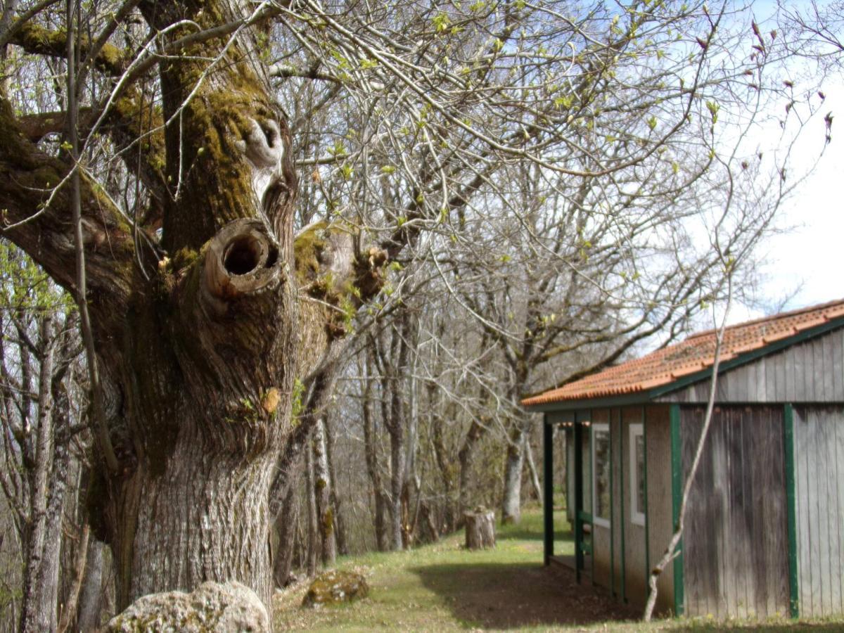 Le Balcon Des Raspes Hotel Saint-Victor-et-Melvieu Екстериор снимка