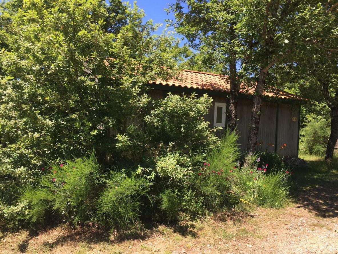 Le Balcon Des Raspes Hotel Saint-Victor-et-Melvieu Екстериор снимка